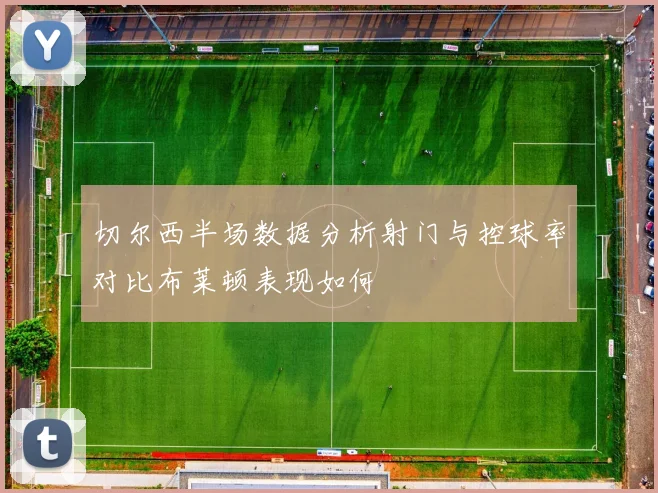 切尔西半场数据分析射门与控球率对比布莱顿表现如何