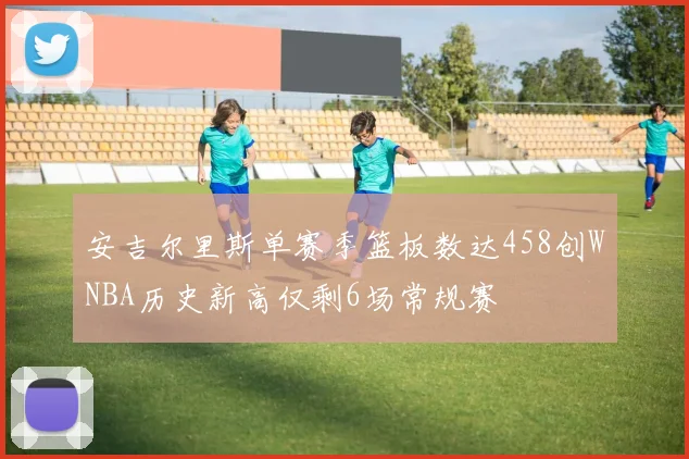 安吉尔里斯单赛季篮板数达458创WNBA历史新高仅剩6场常规赛